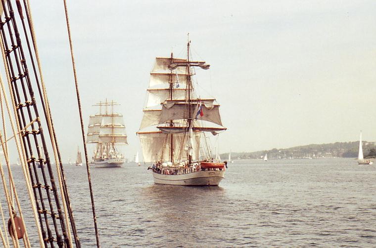 Allle wolllen hinaus